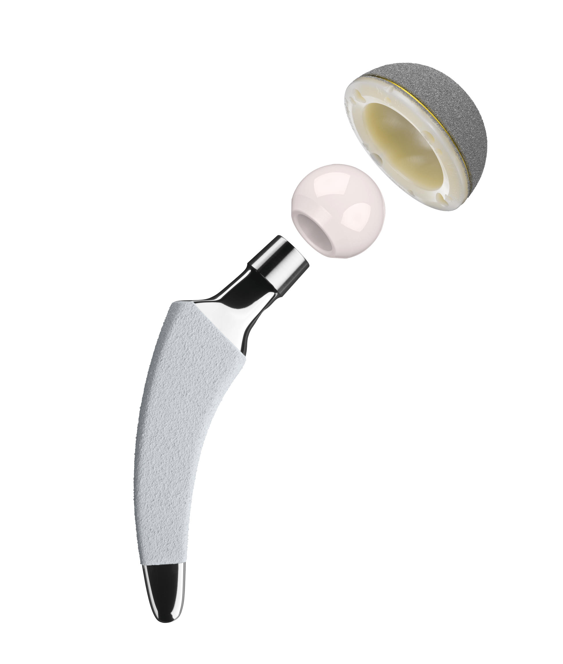 Hip Prosthetic Surgery
